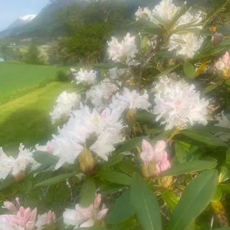 Skogly - Det Gode Livet Pa Landet *